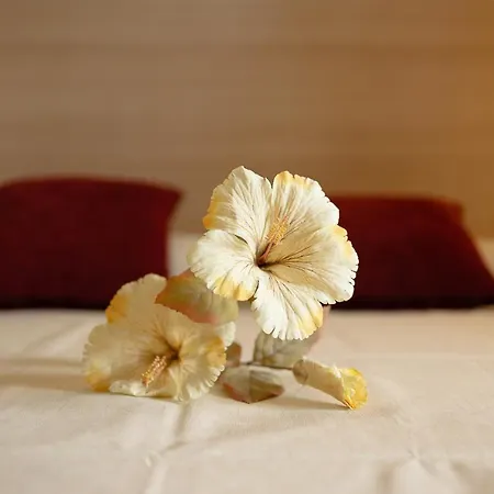 La Valle Bed & Breakfast Asti