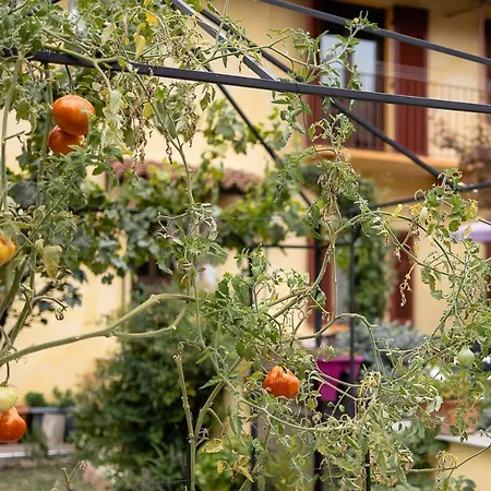 Couette-café La Valle Asti