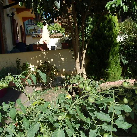 La Valle Asti
