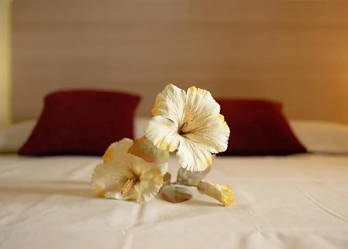 La Valle Oda ve Kahvaltı Asti