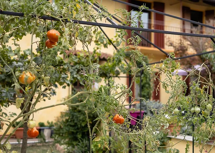 Oda ve Kahvaltı La Valle Asti